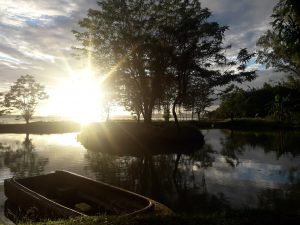 Plot Twist with a Heart