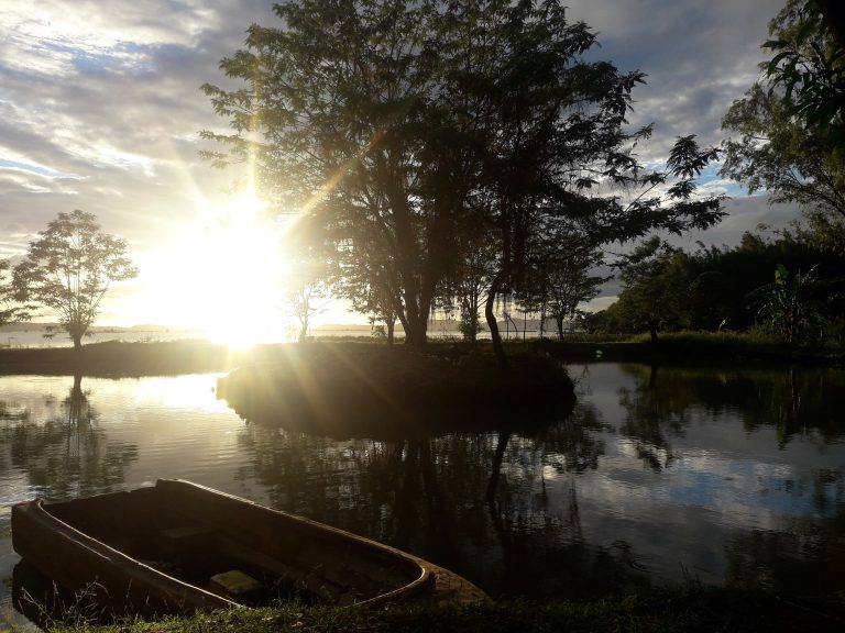 Plot Twist with a Heart