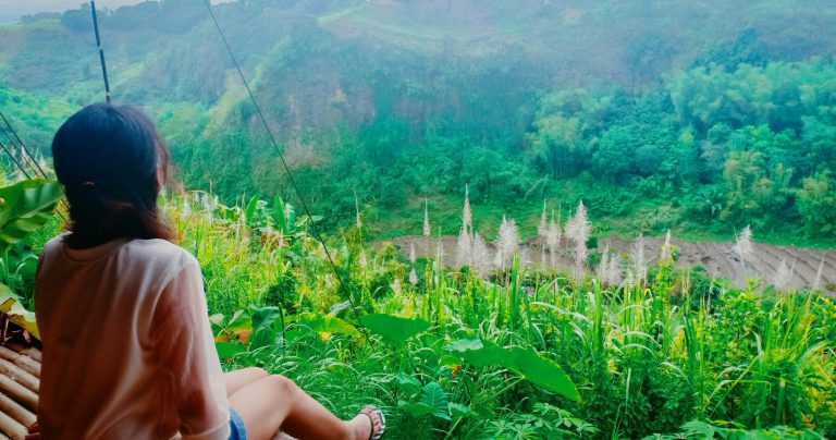 I Will Not Choose You