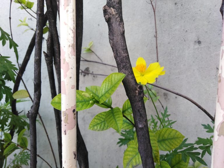 Umaasa na maging tahanan mo