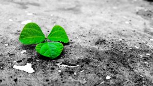 To the guy I have never known.