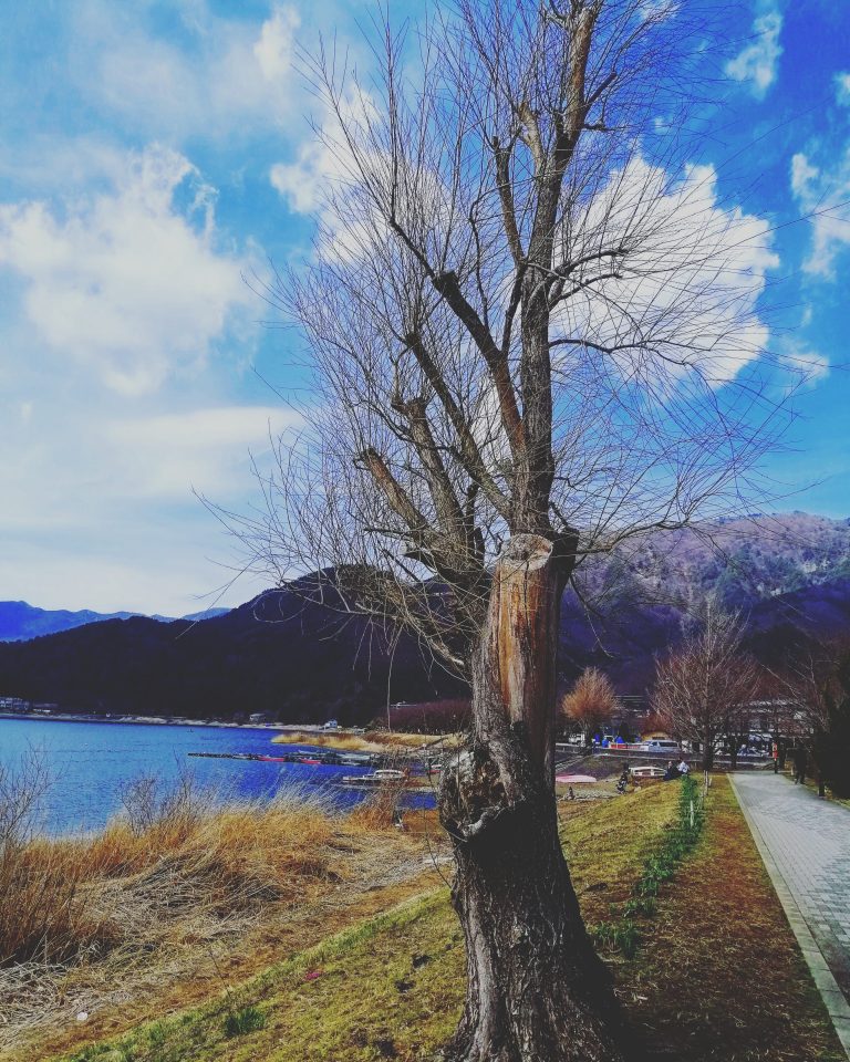 Can We Really Trust God in our Time of Waiting?