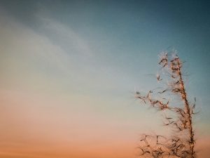 Best Woman I Never Had