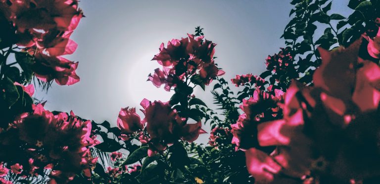 Love Just Ain’t Enough?