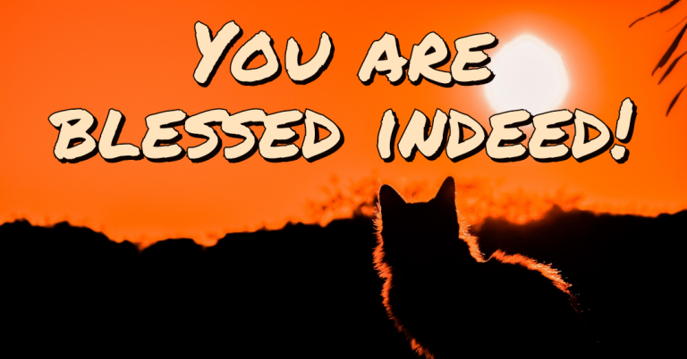 Learn to Appreciate.