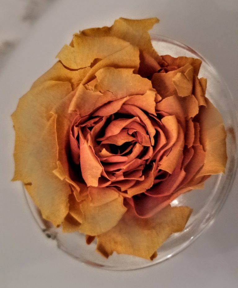 Frustrated? Don’t Loose Hope!