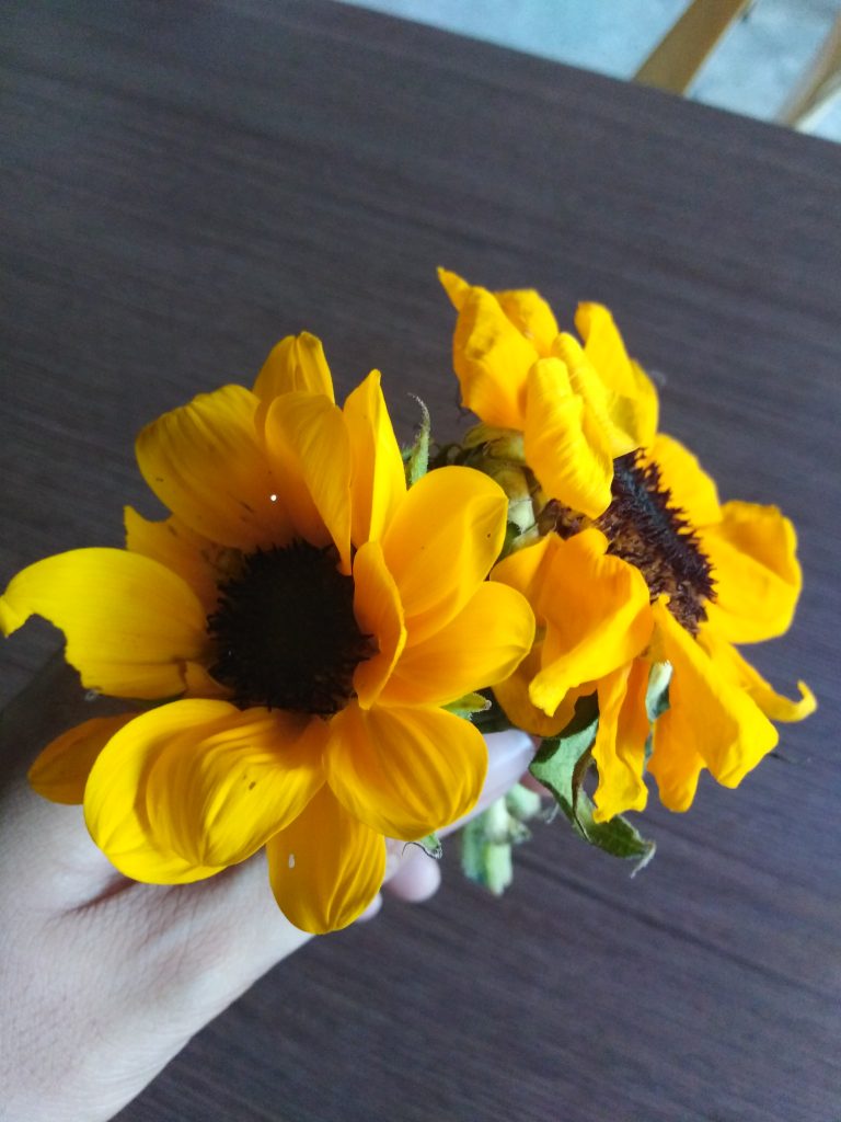 Tamang Panahon, Maling Pagkakataon