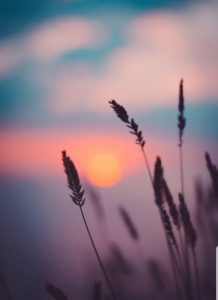 Kaibigan o mag Ka-ibigan