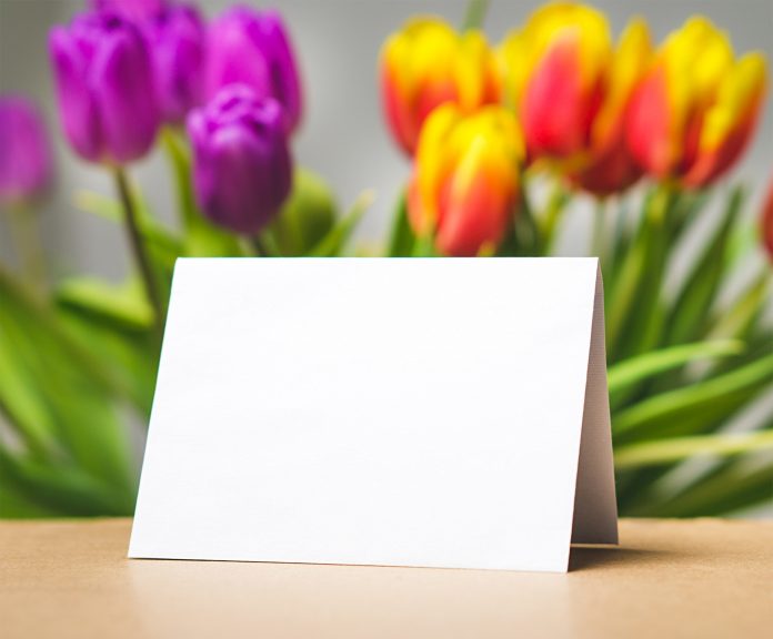 beautiful-blank-blooming-356548