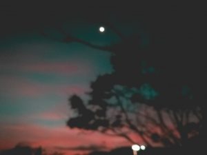 To All the Boys I’ve Loved Before Part I