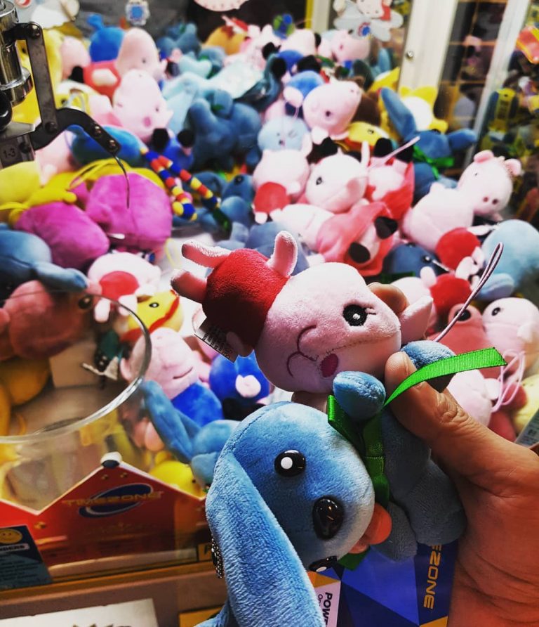 The Melancholic Story of a Jordan Shoes