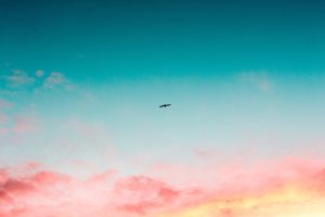 Loving Without Owning