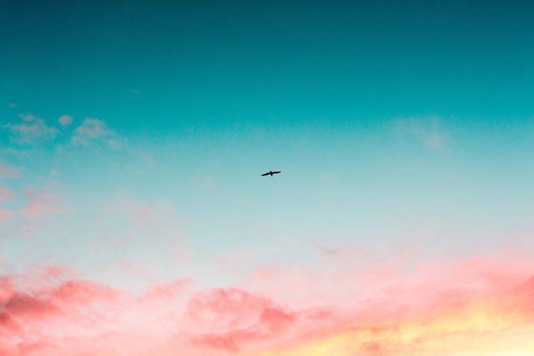 Loving Without Owning