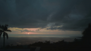 M.U / Malayang Ugnayan