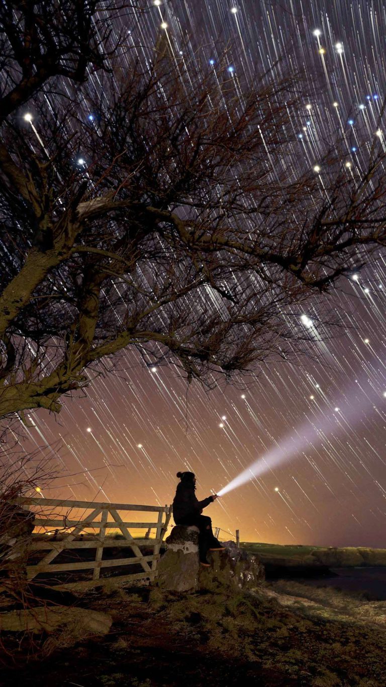 REVERIE [A Daydream]