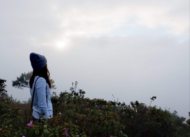 To Someone that I really like