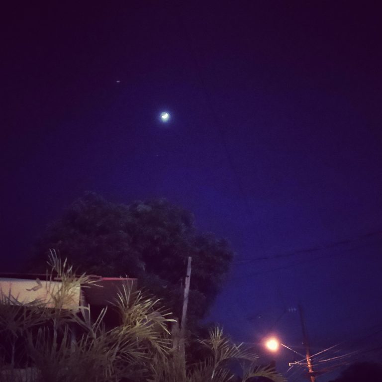 To the Girls who think Love is not for them