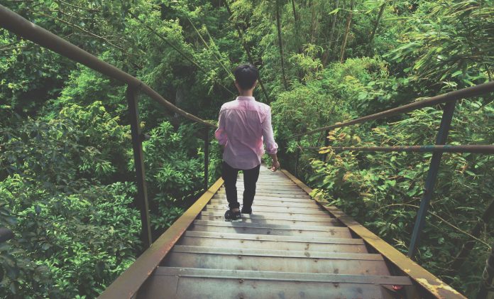 adventure-boardwalk-bridge-767322