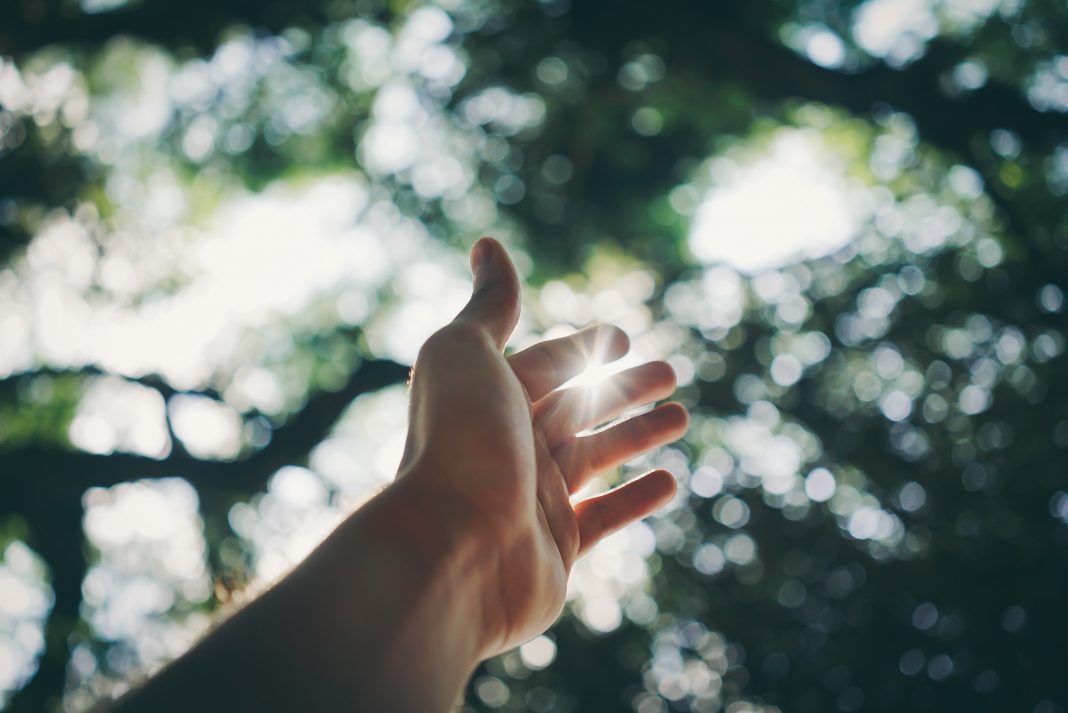 fingers-hand-reaching-1654698
