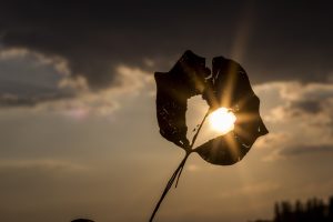 To the Man I Loved