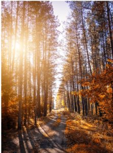 When will our paths ever cross again?