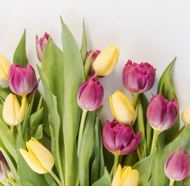 What I Learned About Moving On