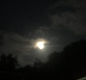 Ilang ulit ko pa kayang sasabihing gusto kita?