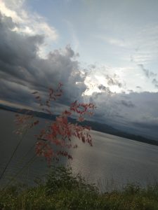 To the person I will love