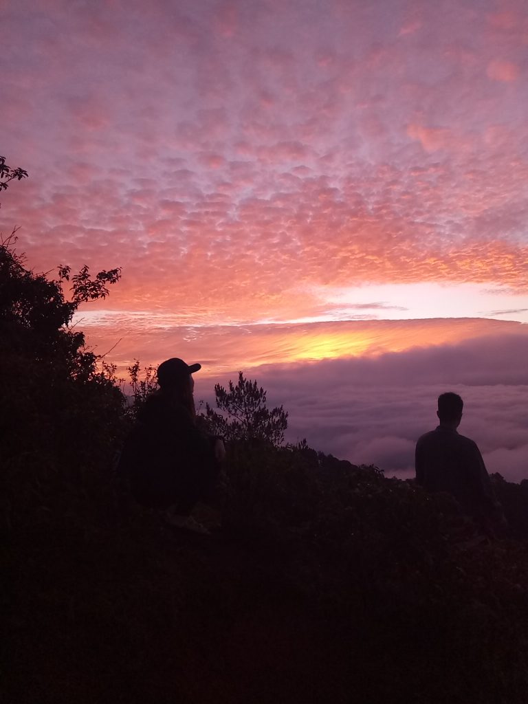 Thank you, but I deserve better.