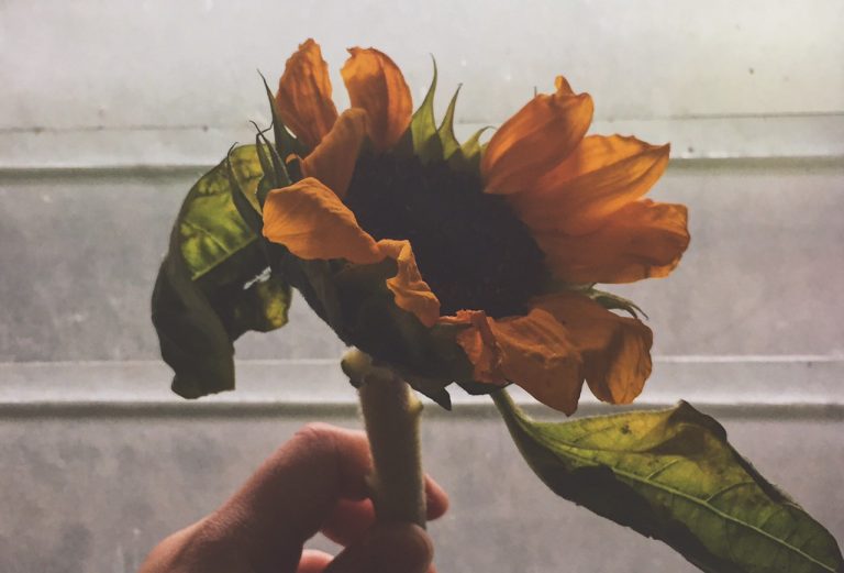 7 Realizations while I move on (Pito para sa pitong taon natin)