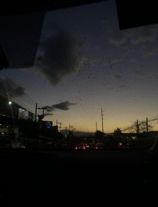Talo ako
