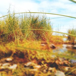 YOU DESERVE MORE THAN OF WHAT YOU THINK