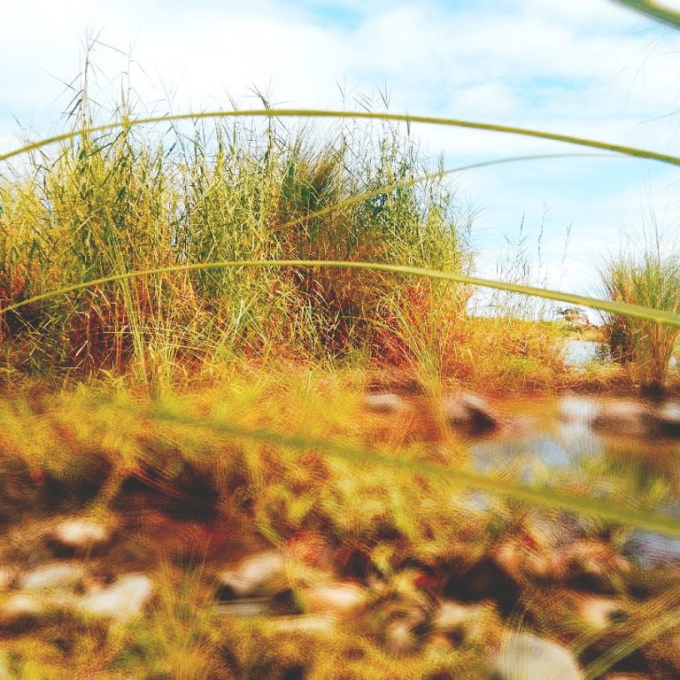 YOU DESERVE MORE THAN OF WHAT YOU THINK