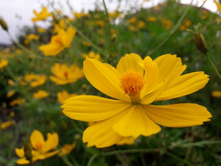 Hanggang Doon Na Lang