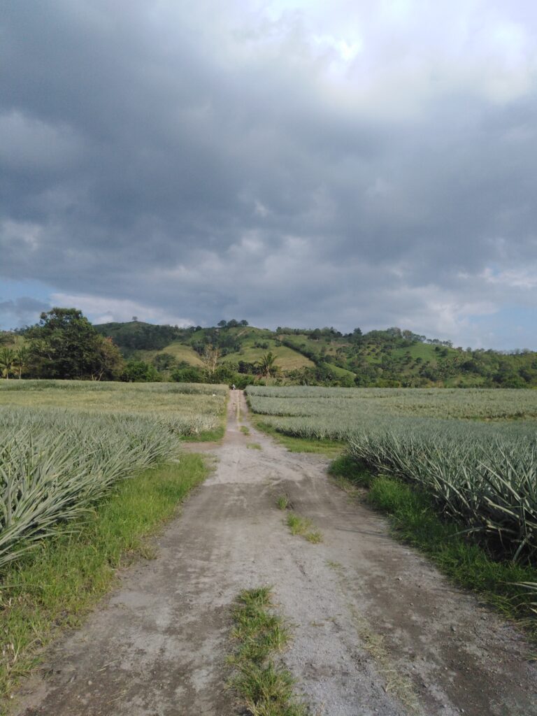 Does My PATH Leads Me To You?