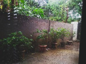 Pwede bang magtanong?