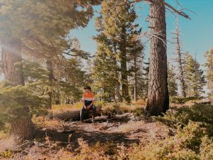 Before you say, SANA ALL…..