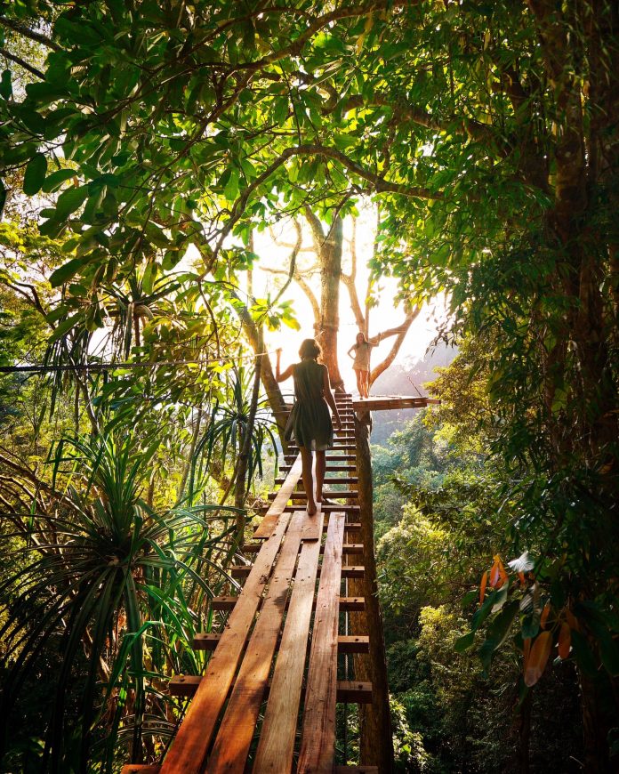 adventure-boardwalk-branch-238631