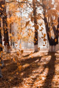 A Letter to My Friend