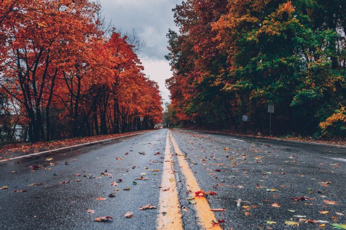 colorful-wallpaper-colors-of-autumn-computer-wallpaper-1563356-7