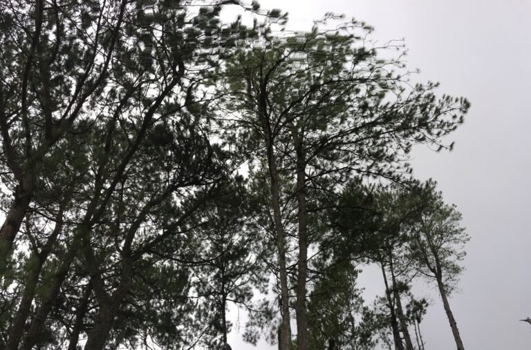 Those I realized when turned 20s