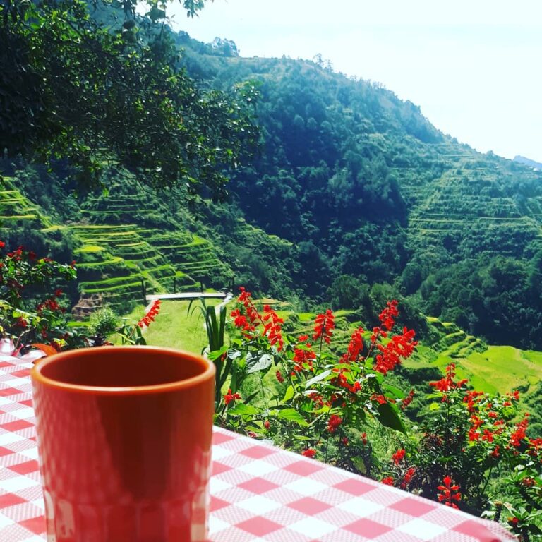 Soloista Travel Realizations