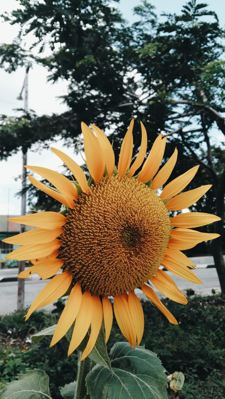 I’m Sorry I’m not Her