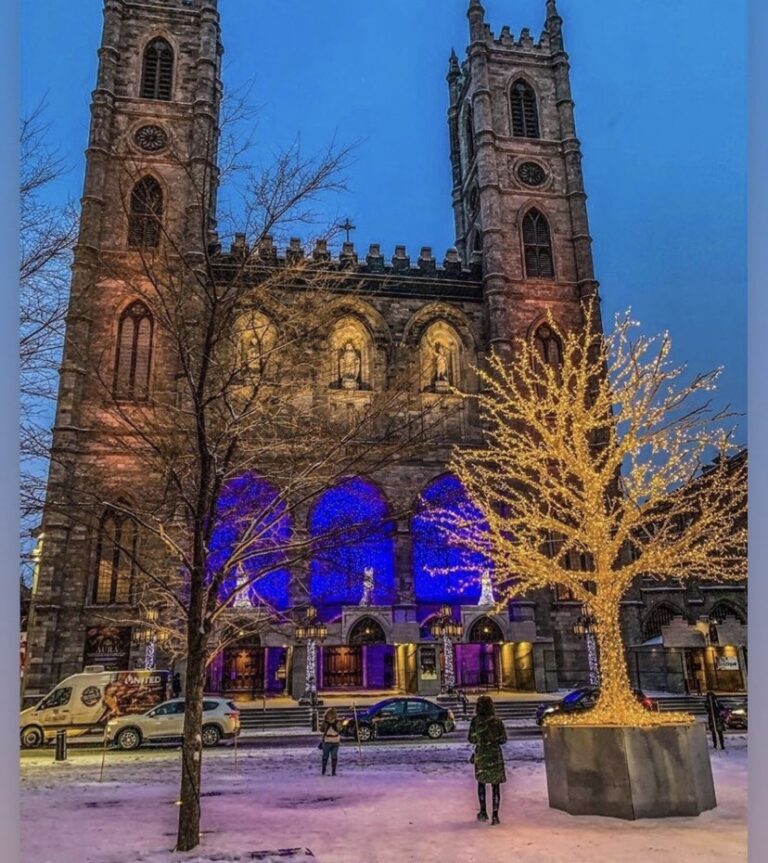 Never Your Priority 1