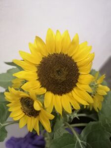 Mahal kita! Ako ba Mahal mo?