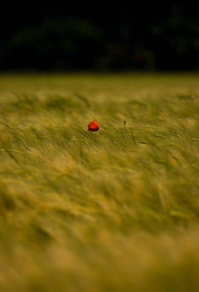 In the middle of nowhere