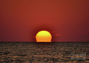 “The orange is melting”