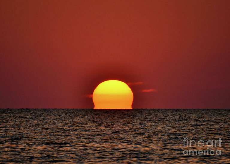 “The orange is melting”