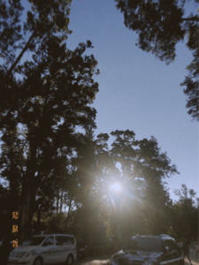 We’ll always have the mornings after.