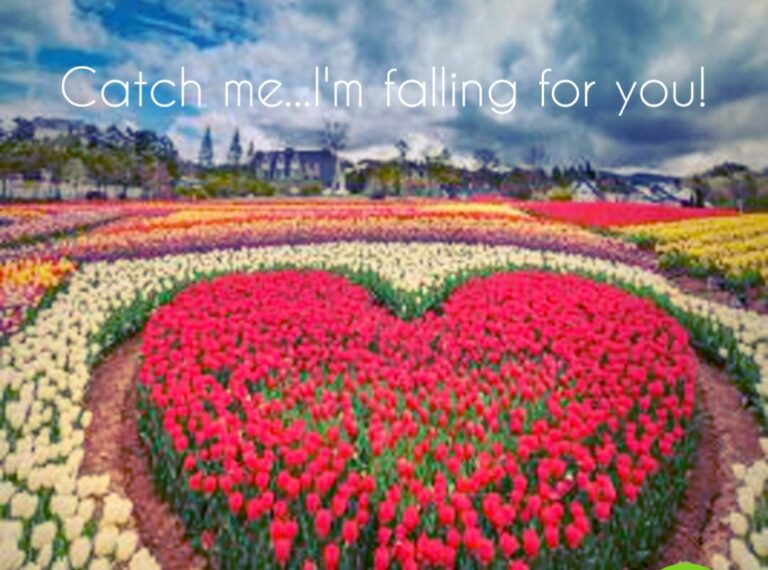 I’ve Fallen For You